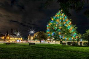 Ponteland Village Green Christmas Lights-3492 | Ponteland Print & Publishing