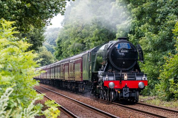 Flying Scotsman 60103 on the Tyne Valley Line, Northumberland 0047 Prints and Canvas