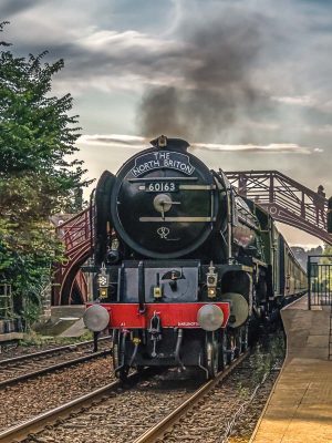 Tornado 60163 on the Tyne Valley Line at Riding Mill-1631 Prints and Canvas